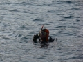 p_0067.jpg