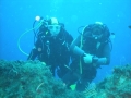 p_0069.jpg
