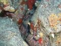 p_0070.jpg