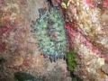 p_0072.jpg
