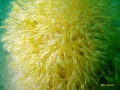 PICT0782.jpg