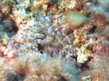 p_0014.jpg
