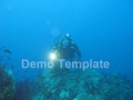 p_0037.jpg