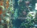 p_0071.jpg