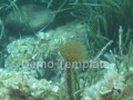 p_0088.jpg